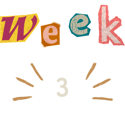 Week 3