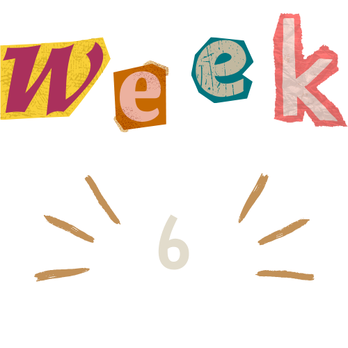 Week 6